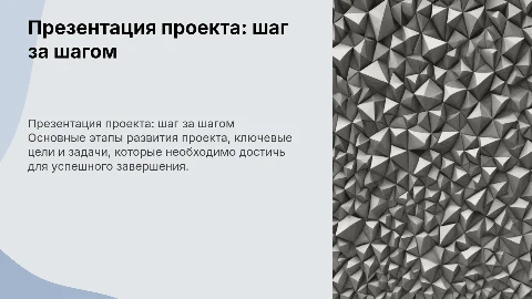 Презентация представление проекта