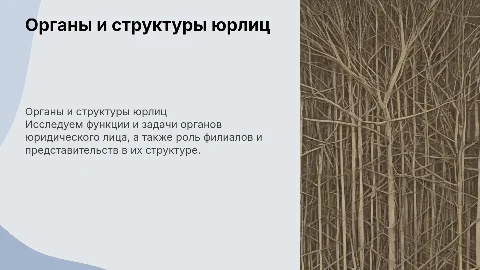 Органы юридического лица. Филиалы и представительства