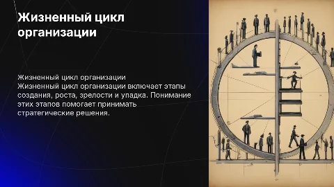 Жизненный цикл организации