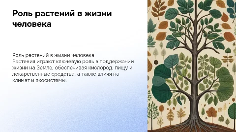 значение растений в жизни человека