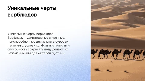 Особенности верблюда