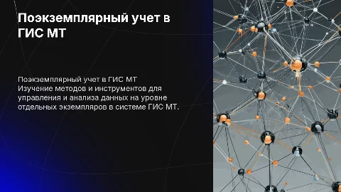 Поэкземплярный учет в системе ГИС МТ
