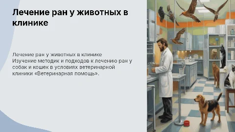 Лечение ран у собак и кошек в ветеринарной клинике
