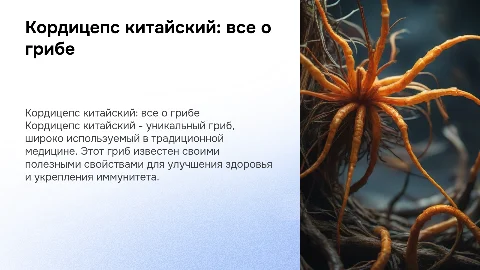 кордицепс китайский все о грибе