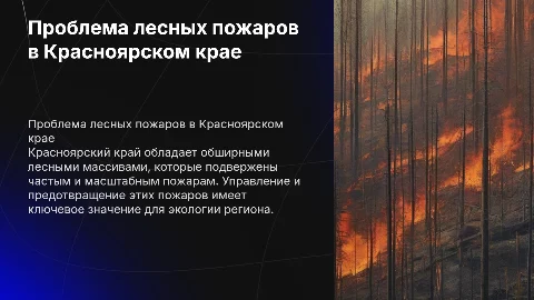 Лесные пожары в Красноярском крае: проблемы и решения