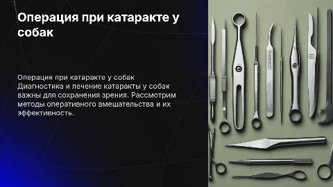 Хирургическая операция при катаракте у собаки: диагностика и лечение