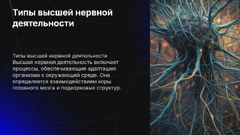 типы высшей нервной деятельности