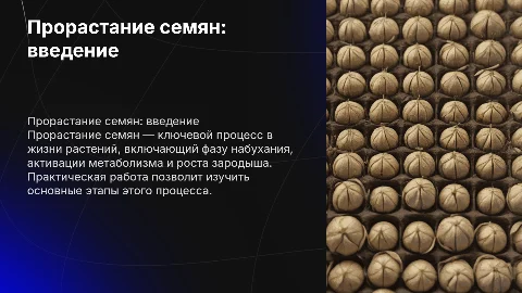 Прорастание семян. Практическая работа