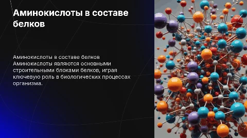 Аминокислоты: кирпичики белковых молекул и их роль
