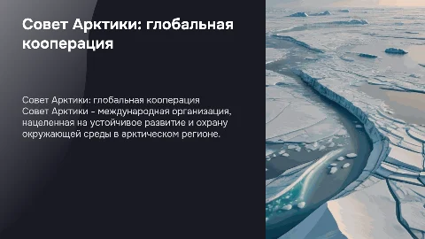 Международная организация Совет Арктики
