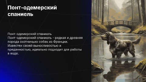 Понт-одемерский спаниель