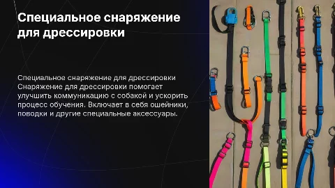 Специальное снаряжение для дрессировки собак