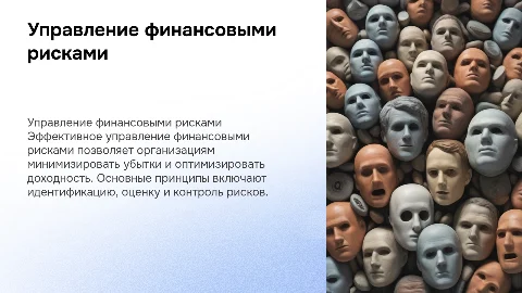 Сущность и принципы управления финансовыми рисками в организации