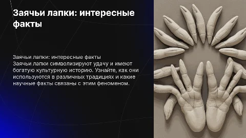 Заячьи лапки интересные факты