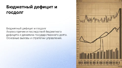 Бюджетный дефицит и государственный дог