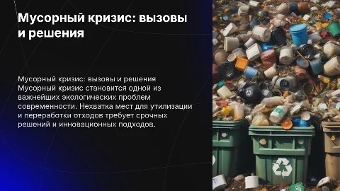 мусорный кризис