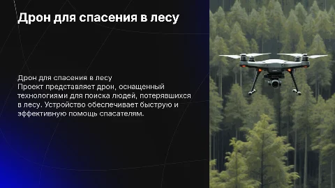презентация проекта "Дрон для поиска людей в лесу"