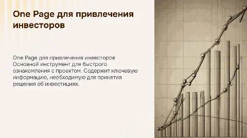 One page для инвестора