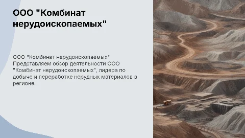ООО "Комбинат нерудоископаемых"
