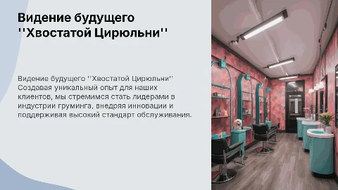 модель видения развитии груминг салона "Хвостатая Цирюльня"