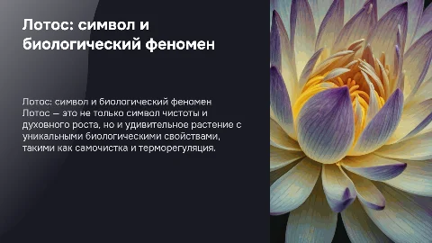 лотос в биологии