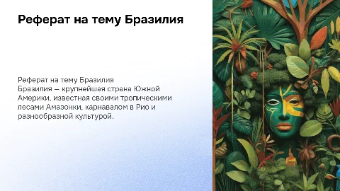Реферат на тему Бразилия