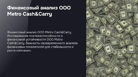 Анализ платежеспособности и финансовой устойчивости Metro Cash&Carry
