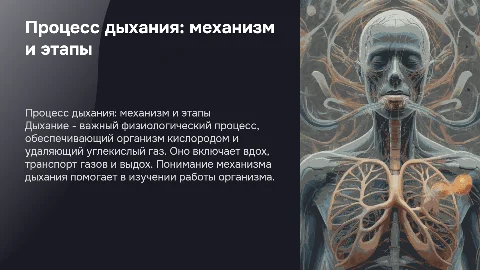 Процесс дыхания. Механизм. Этапы