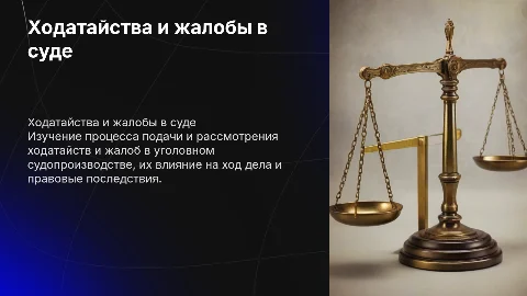 ходатайства и жалобы в уголовном судопроизводстве