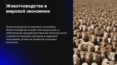 Животноводство в мировом хозяйстве