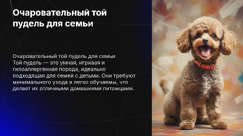 Той пудель: идеальный питомец для вашей семьи