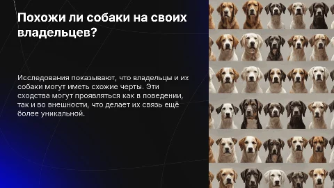 Похожи ли собаки на своих хозяев?