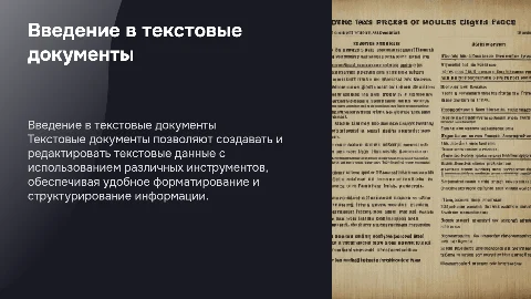 текстовые документы их ввод и редактирование в текстовом процессе