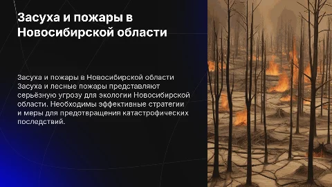 Засуха и лесные пожары в Новосибирской области: пути решения