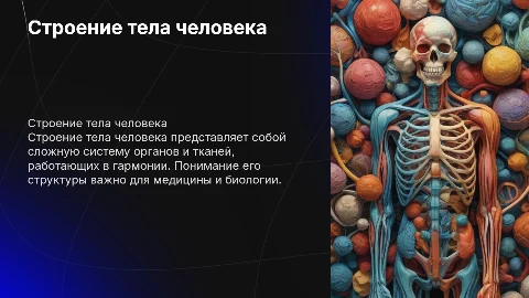 Строение тела человека