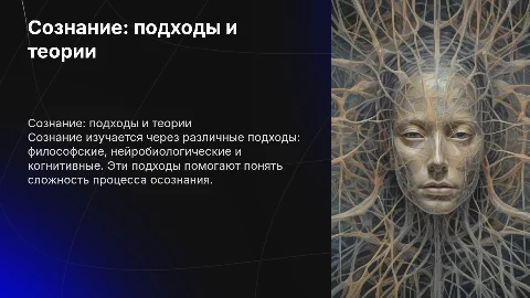 сознание, различные подходы к проблеме