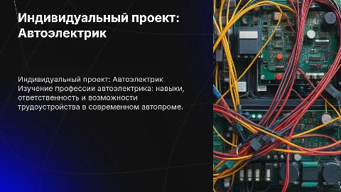 Индивидуальный проект на тему "Автоэлектрик"