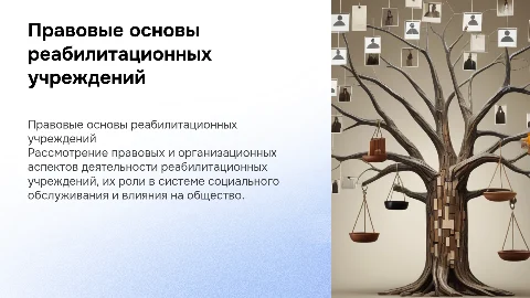 Правовые и организационные основы реабилитационных учреждений