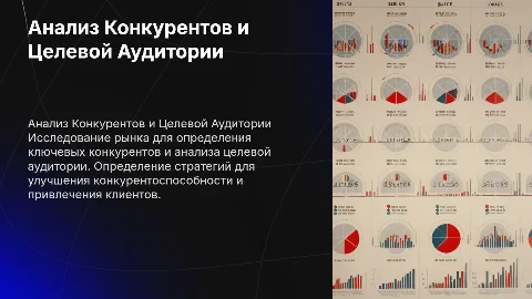 Анализ Конкурентов и Целевой Аудитории