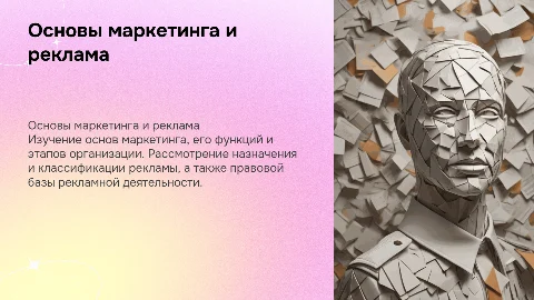 Основы и концепция маркетинга: функции и этапы организации