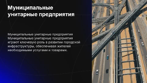 Муниципальные унитарные предприятия
