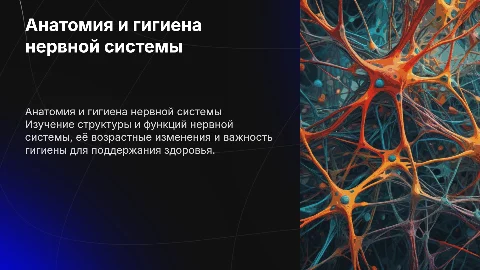 Анатомия и гигиена нервной системы человека: особенности