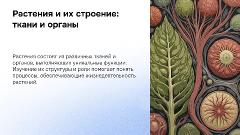Растения, ткани и органы: описание, функции