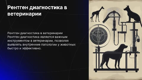 рентген диагностика в ветеринарии