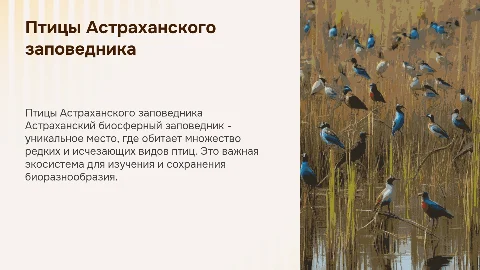 птицы астраханского биосферного заповедника