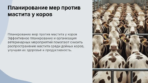 Планирование ветеринарных мероприятий по ликвидации мастита