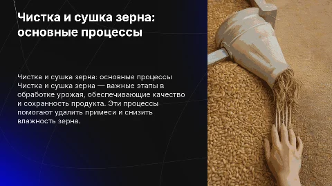 Чистка и сушка зерна