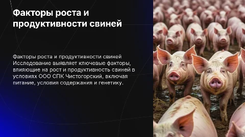 Влияние факторов на рост и продуктивность свиней