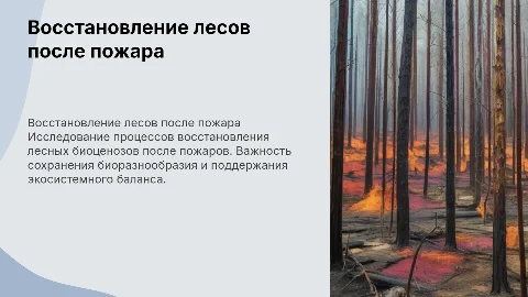 Восстановление лесных биоценозов после пожара