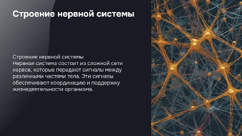 Строение нервов